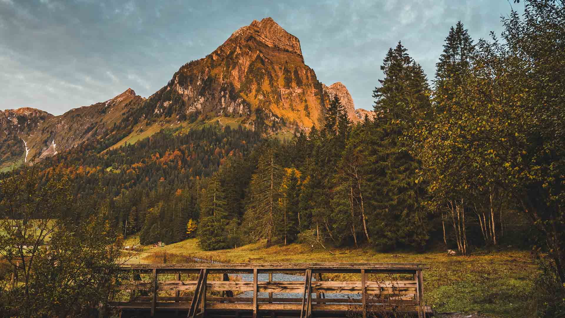 Ambulante psychiatrische Pflege (APP)